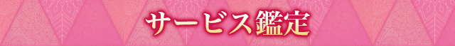 サービス概要
